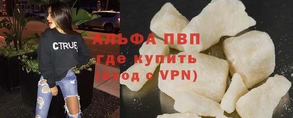 прущие грибы Новодвинск