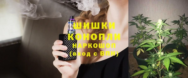 прущие грибы Новодвинск