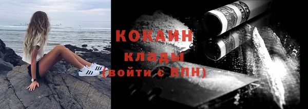 прущие грибы Новодвинск