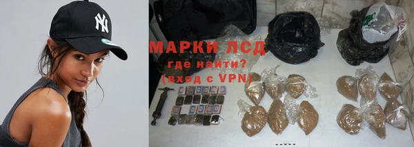 прущие грибы Новодвинск