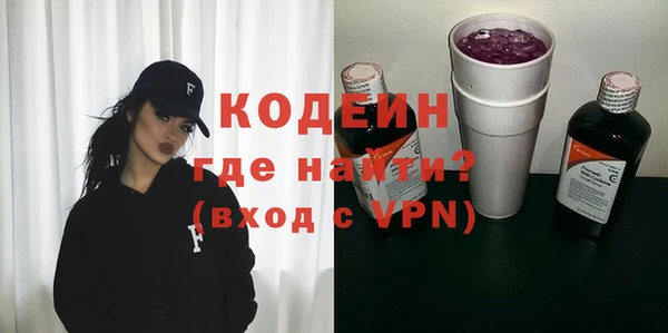 прущие грибы Новодвинск