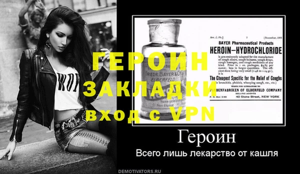 прущие грибы Новодвинск