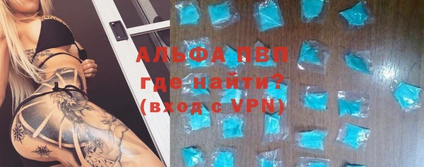 прущие грибы Новодвинск