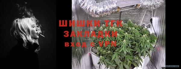 ALPHA-PVP Новозыбков